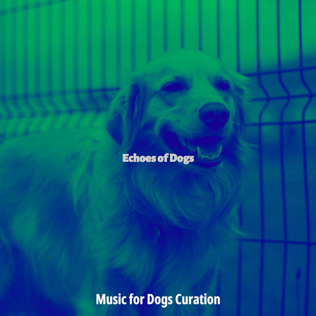 Echoes of Dogs