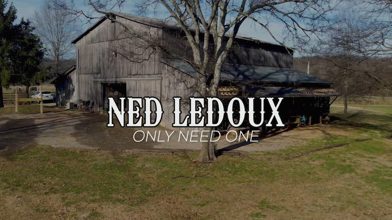 Only Need One (Official Music Video)