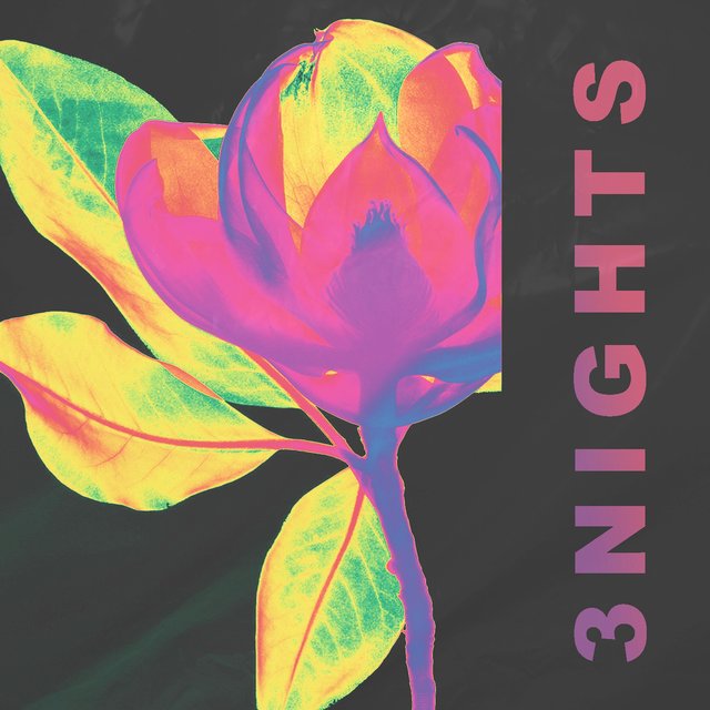 3 Nights