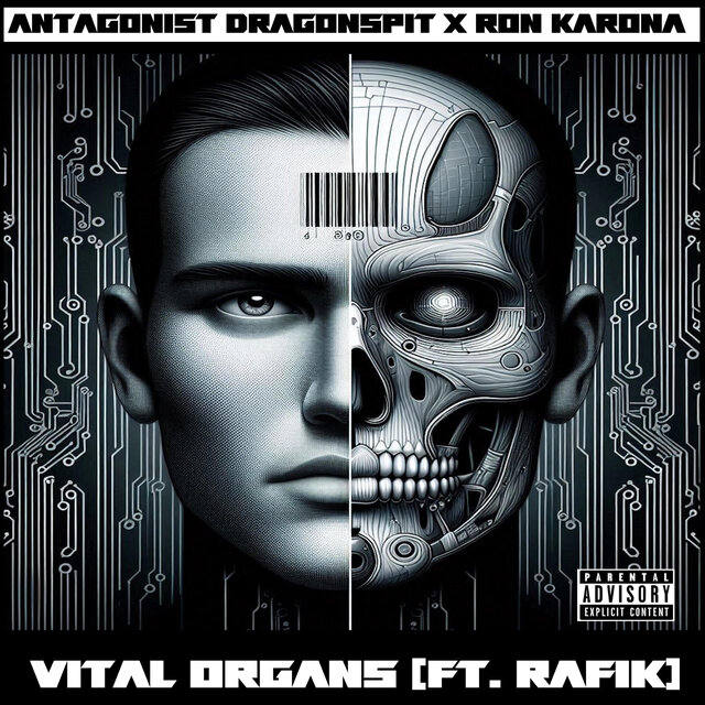 Vital Organs (feat. Ron Karona & Rafik of Cult Fiction)