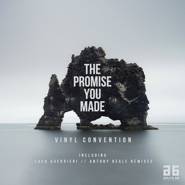 The Promise You Made