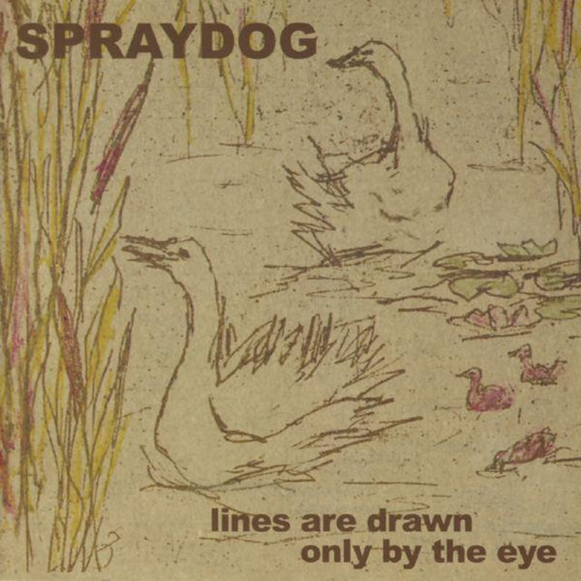 Lines Are Drawn Only By The Eye