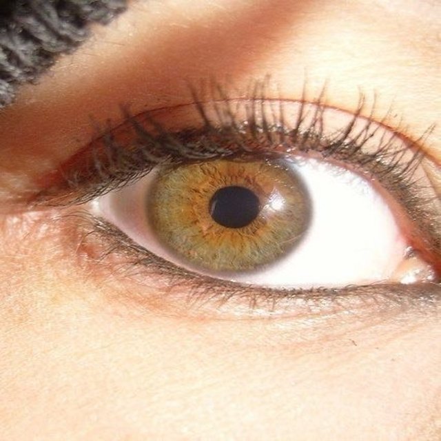 Ojos de Miel