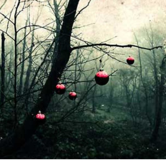 The Xmas