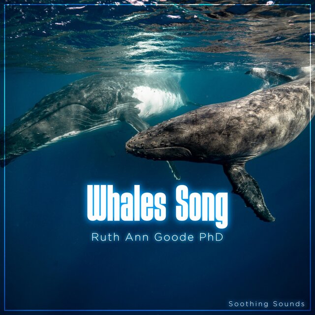 Whales Song