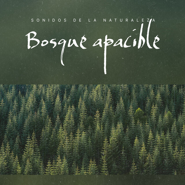 Bosque apacible