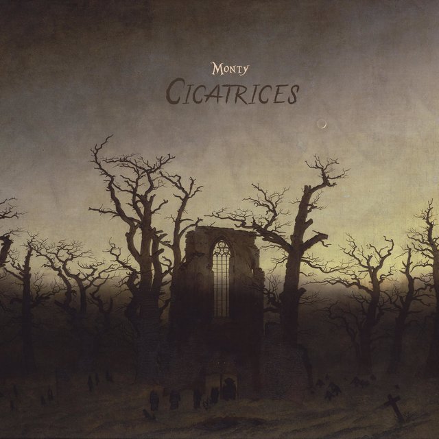 Cicatrices