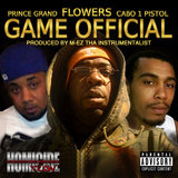 Game Official