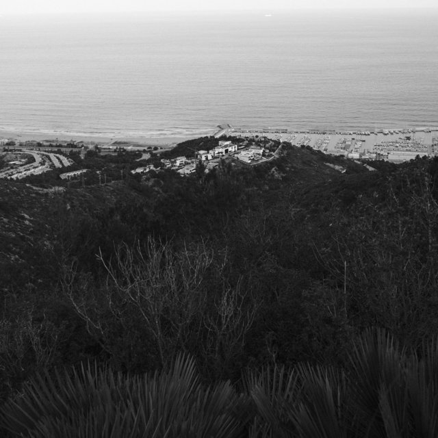 Sleep Grey Noise