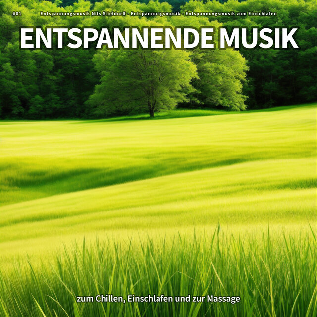 #01 Entspannende Musik zum Chillen, Einschlafen und zur Massage