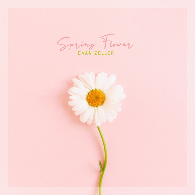 Spring Flower