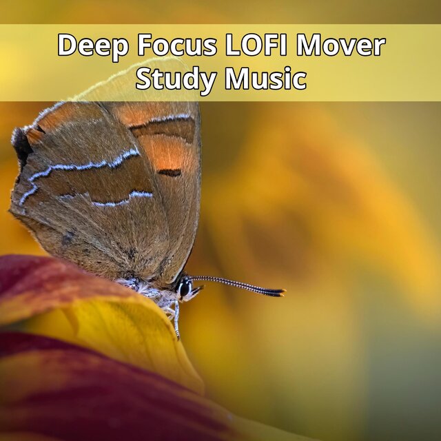 Deep Focus Music to Improve Concentration ~ 1 Hour of LoFi Mover Study Music to Concentrate A104