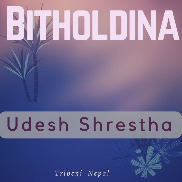 Bitholdina