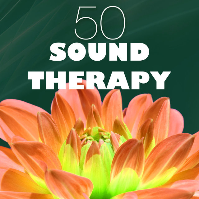 50 Sound Therapy - Reiki Healing Light, Sounds of Nature Ambience for Sweet Repose