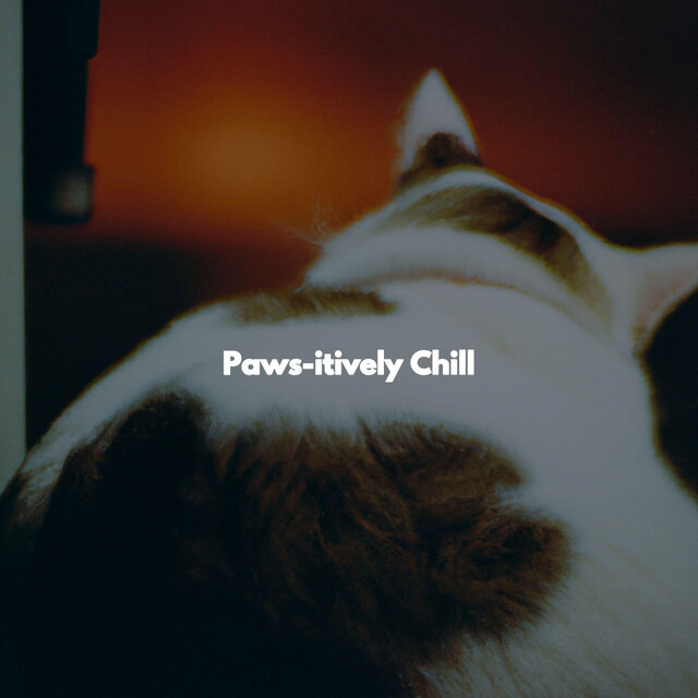 Paws-itively Chill