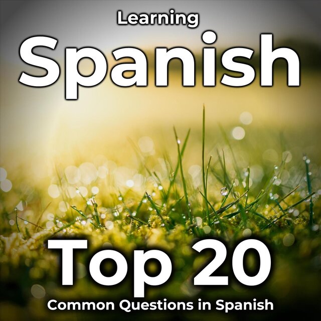 Learning Spanish: Top 20 Common Questions in Spanish