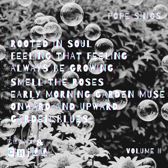 Plant and Chill Volume II