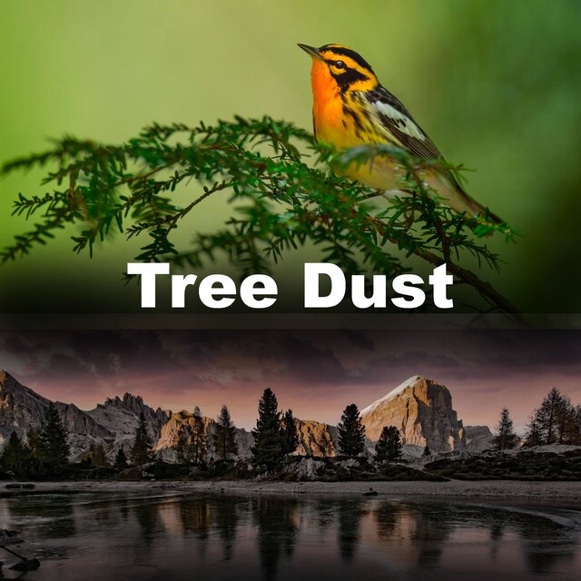 Tree Dust