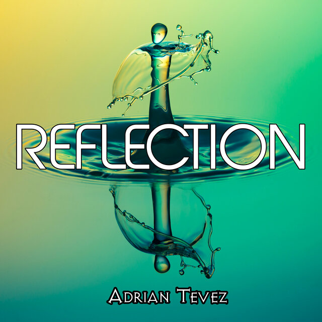 Reflection (Electronic Version)