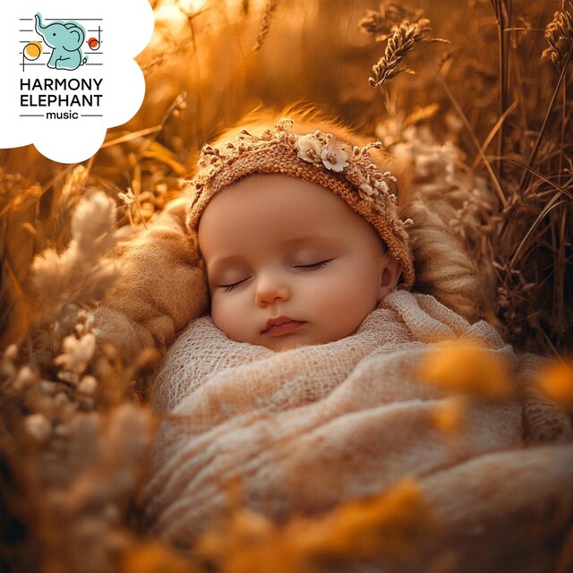 Lullabies under the Golden Sunset