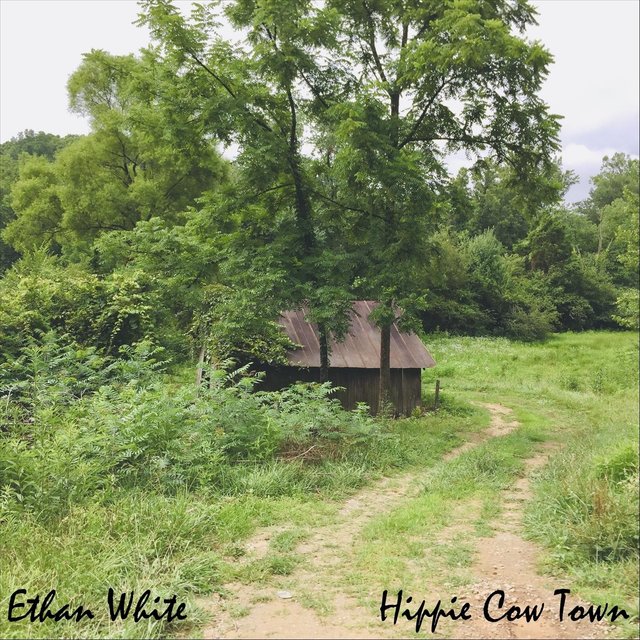 Hippie Cow Town