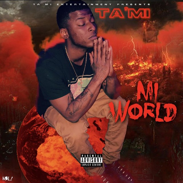 Mi World