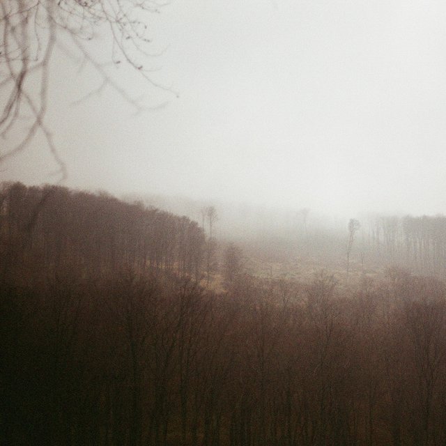 Valley Haze