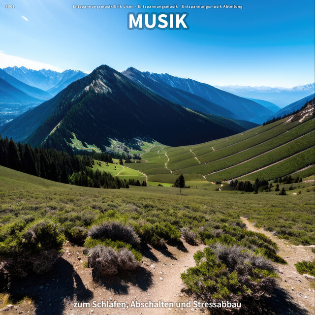 #001 Musik zum Schlafen, Abschalten und Stressabbau