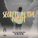 Secrets In The Night