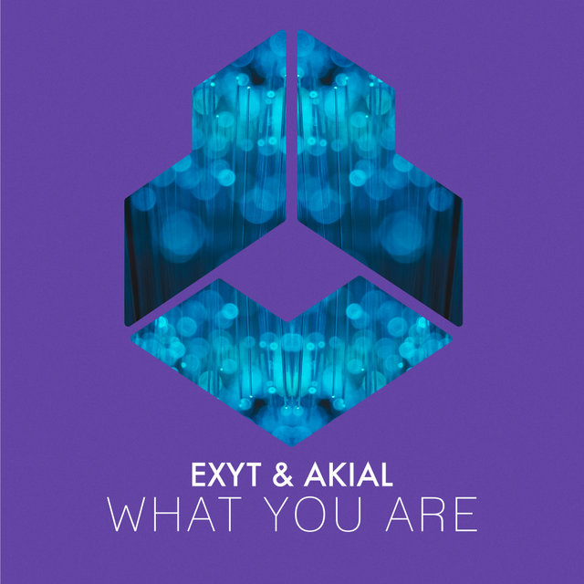 What You Are
