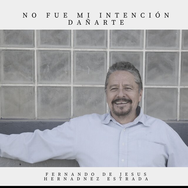 No Fue Mi Intención Dañarte