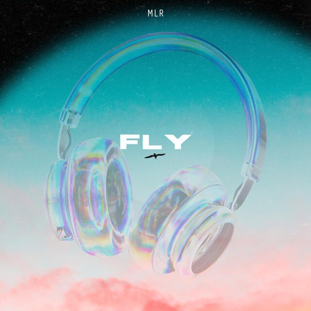 FLY