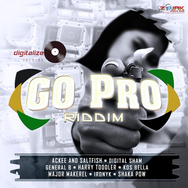 Go Pro Riddim