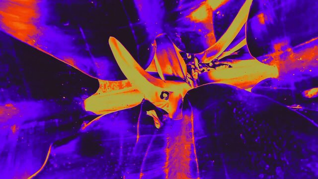 The Ghost on a Paper Plane