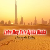 Loba Mey Bala Ajeba Oleda