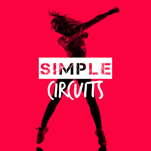 Simple Circuits