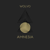 Amnesia