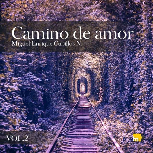 Camino de amor, Vol. 2