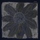 Cover art for album Florist by Florist