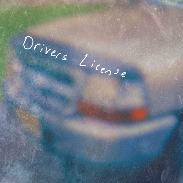 Drivers License