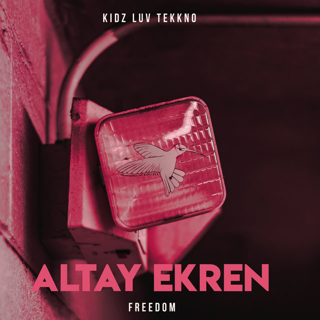 Freedom