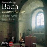 Geist und Seele wird verwirret, BWV 35: Sinfonia