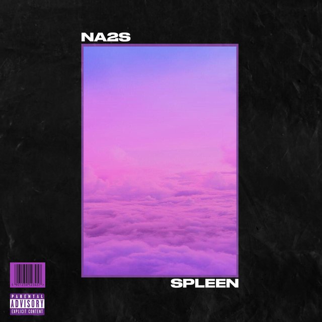 SPLEEN