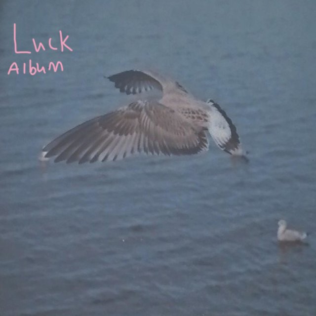 The Luck Album