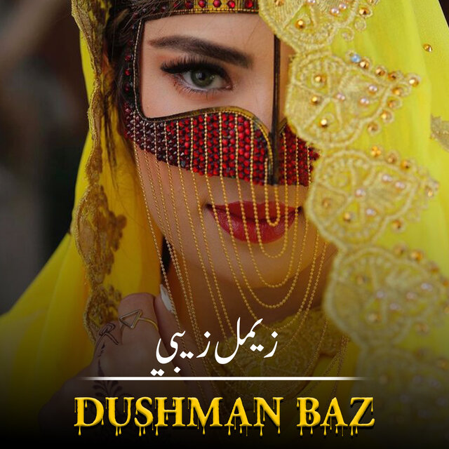 Dushman Baz