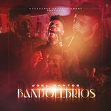 Bandolebrios