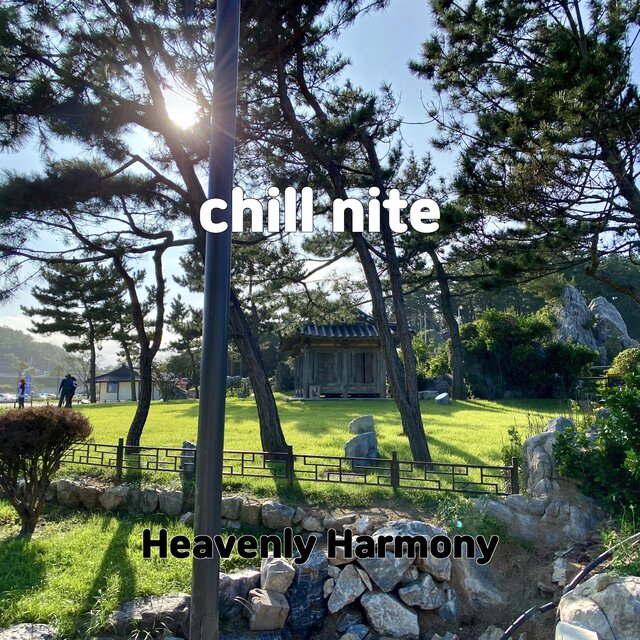 chill nite