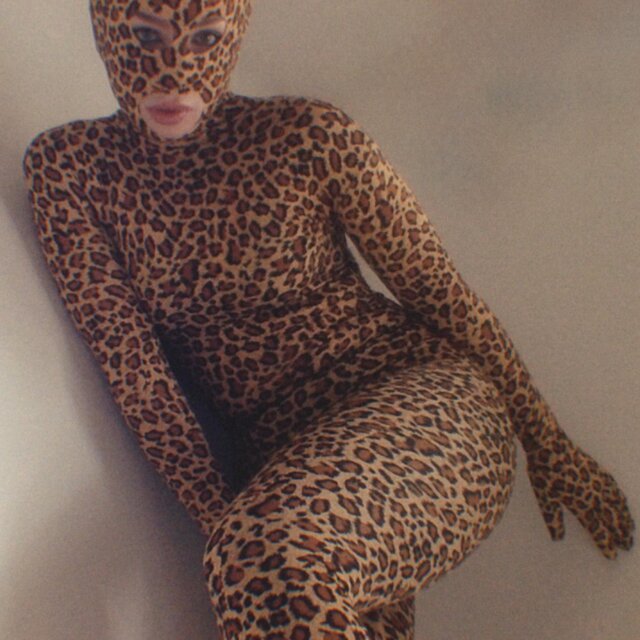 All Leopard