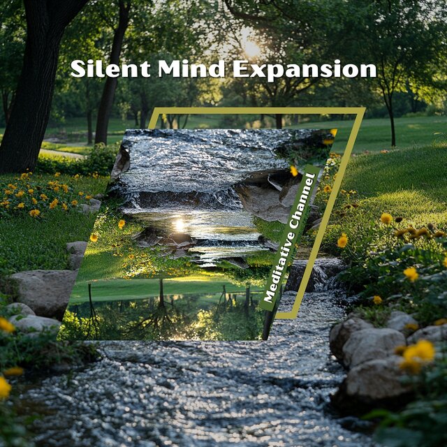 Silent Mind Expansion
