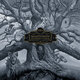 Cover art for album Hushed and Grim by Mastodon